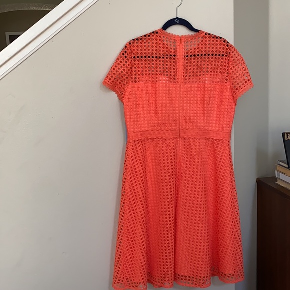 FIRM..Antonio Melani Stella Lace Scallop A Line Dress. - Picture 3 of 13